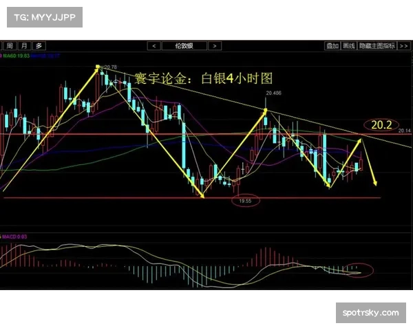 技术短板与战术僵化成瓶颈 中超亚冠征程遇阻需寻突破